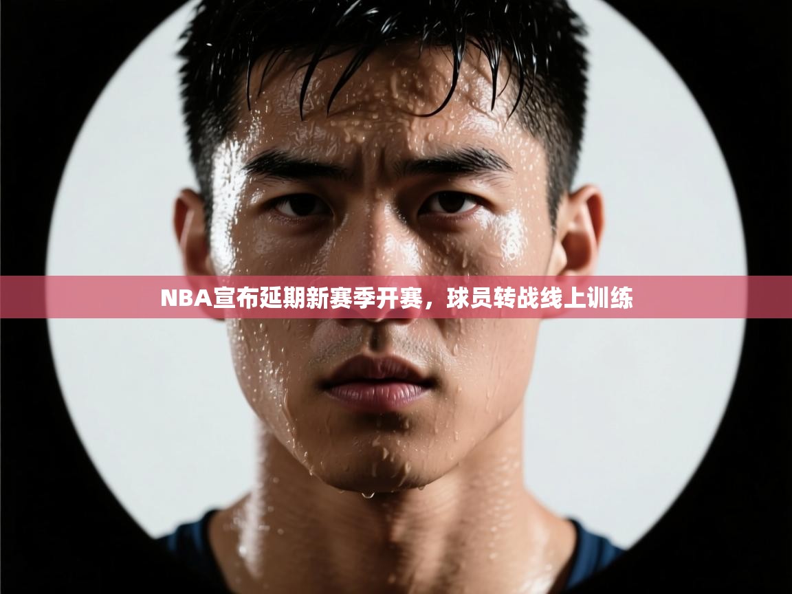 NBA宣布延期新赛季开赛，球员转战线上训练  第2张