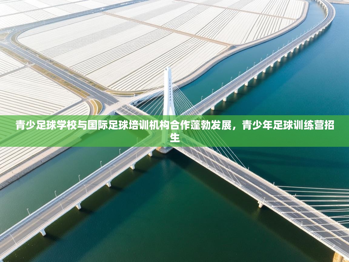 青少足球学校与国际足球培训机构合作蓬勃发展，青少年足球训练营招生  第1张