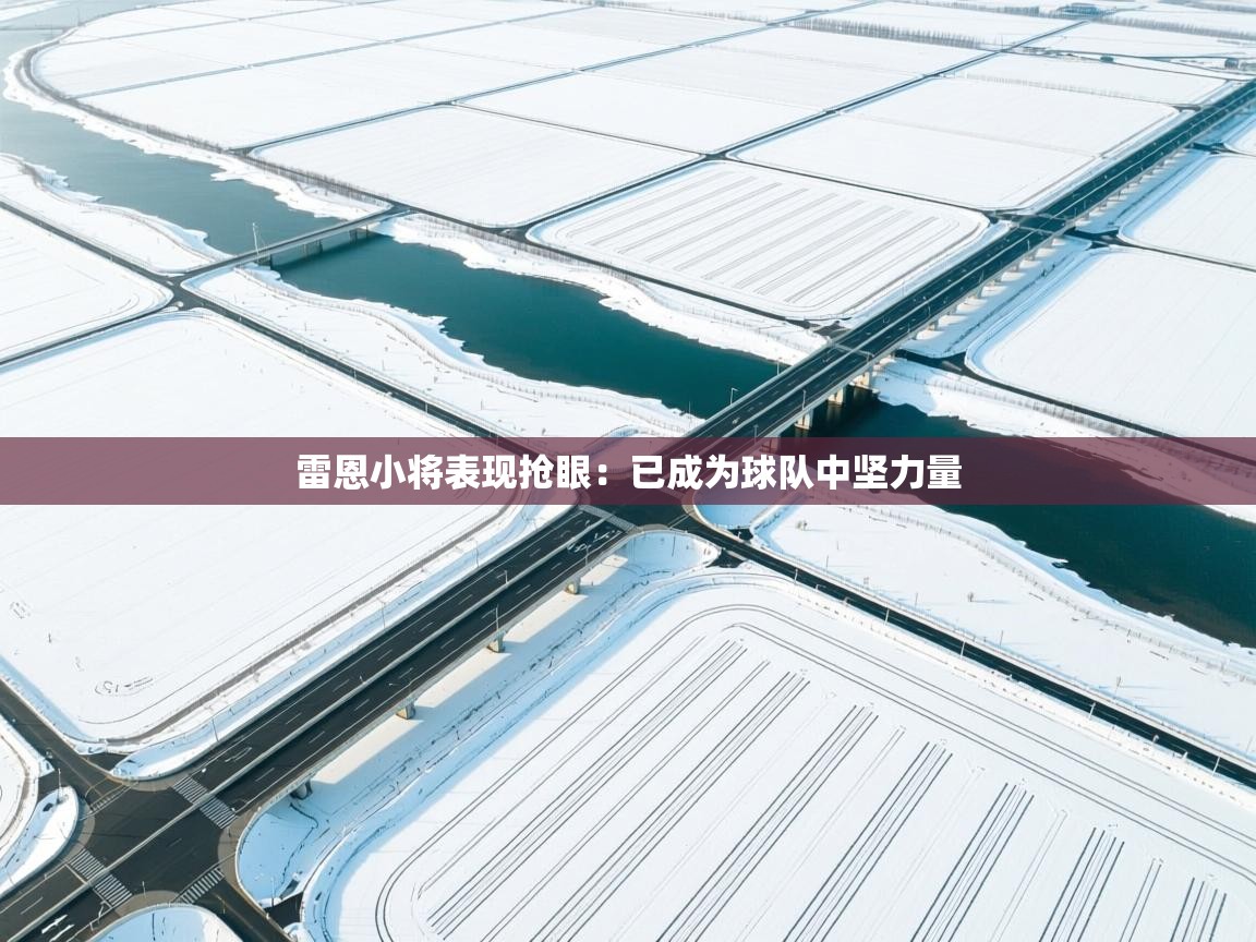 雷恩小将表现抢眼:已成为球队中坚力量 第1张