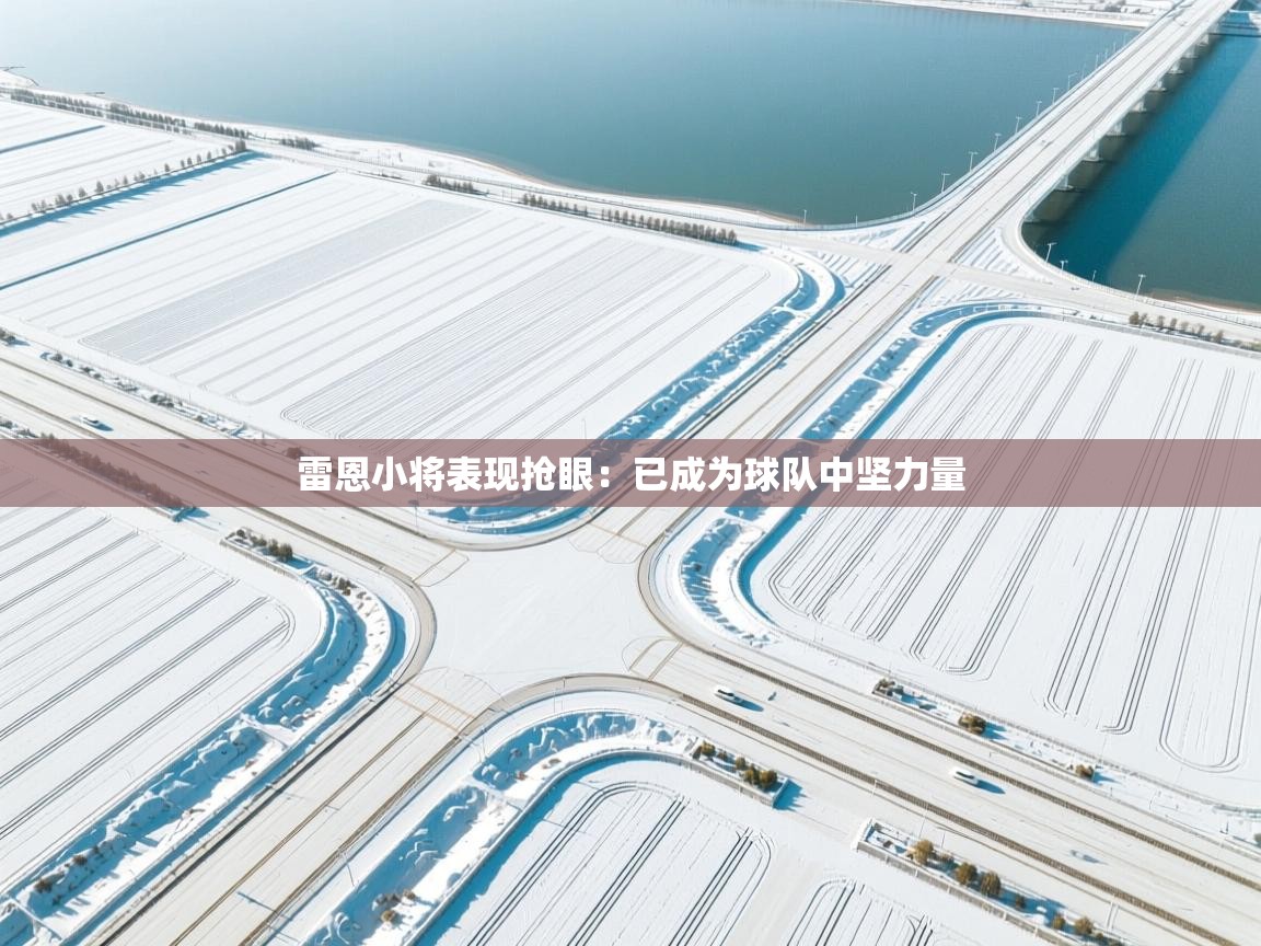 雷恩小将表现抢眼:已成为球队中坚力量 第2张